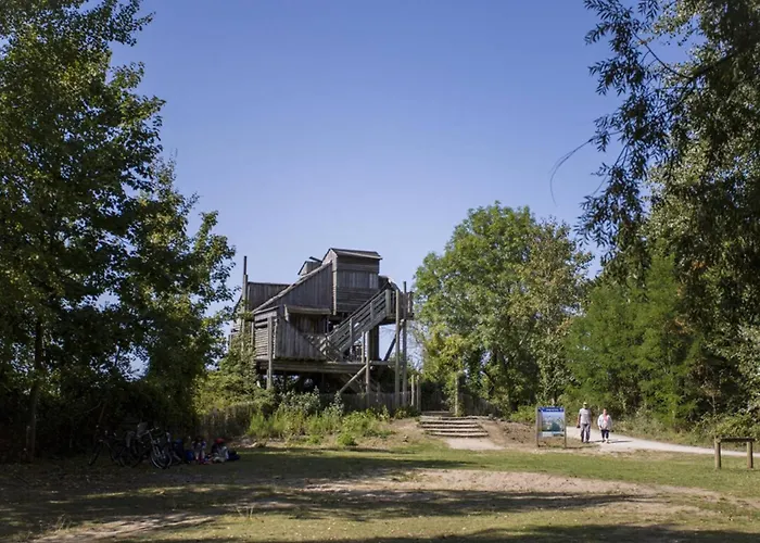 Cosy Avec Parking, à 100m Du Centre, Proche - Fr-1-788-47 * Merville-Franceville-Plage